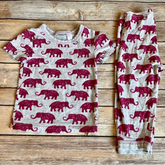 Coccoli - Picture 2 of 8